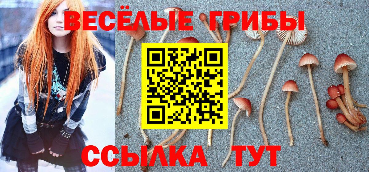 Балтийск  Псилоцибиновые грибы Magic Shrooms  купить наркотики сайты  Псилоцибиновые грибы MAGIC MUSHROOMS  Вход с VPN 